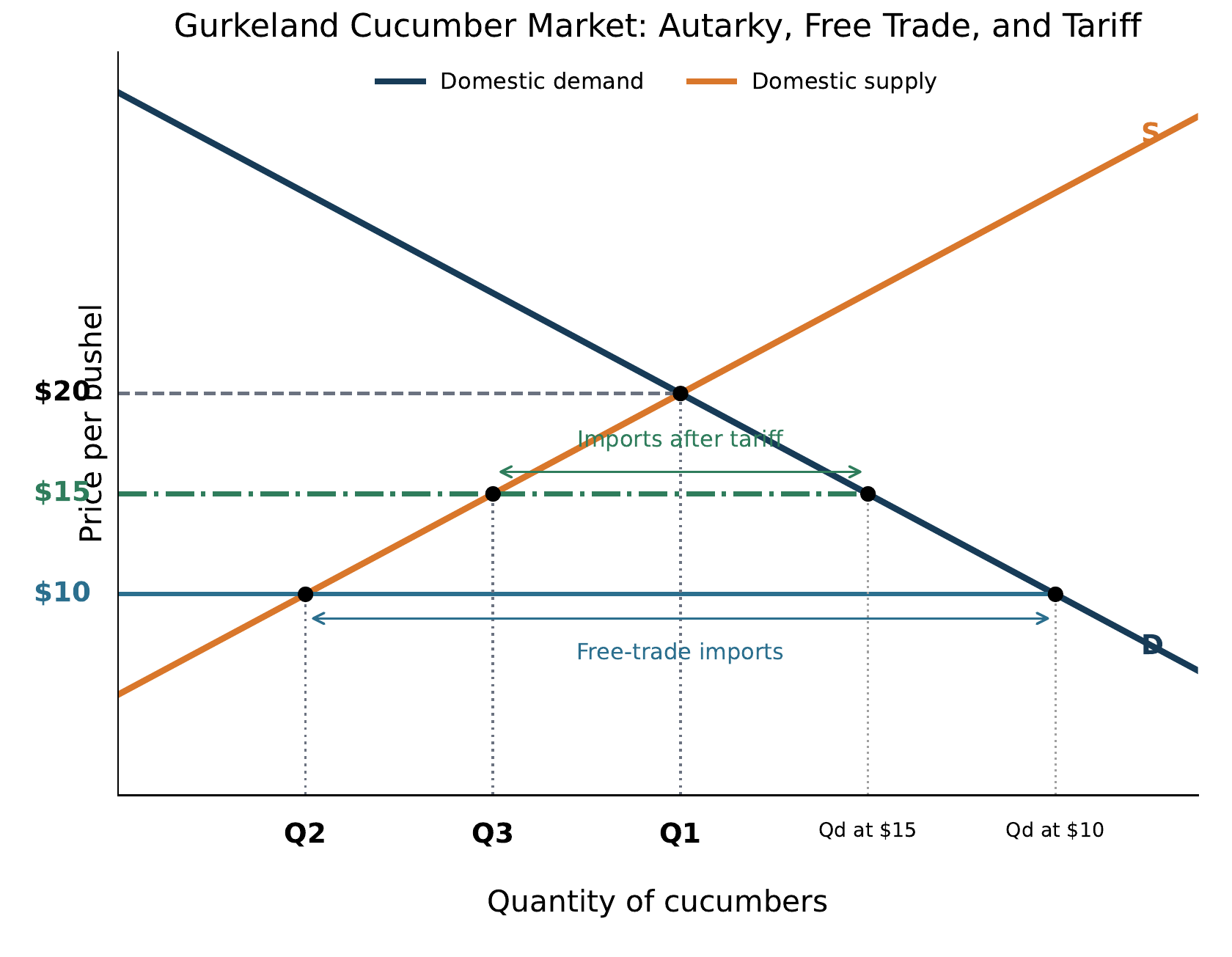 FRQ 3 Gurkeland cucumber market graph with price per bushel and quantity of cucumbers axes, domestic demand and supply, autarky price 20 dollars and Q1, world price 10 dollars and Q2, tariff price 15 dollars and Q3, and import ranges