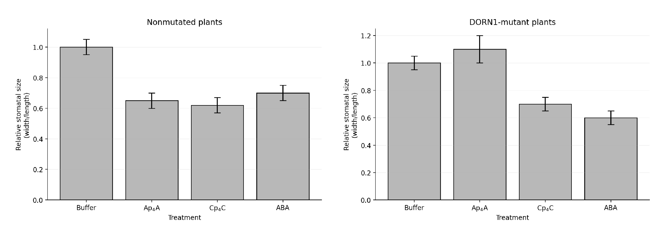 FRQ 1 paired bar graphs comparing relative stomatal size after buffer, Ap4A, Cp4C, and ABA treatments in nonmutated plants and DORN1-mutant plants, including standard-error bars