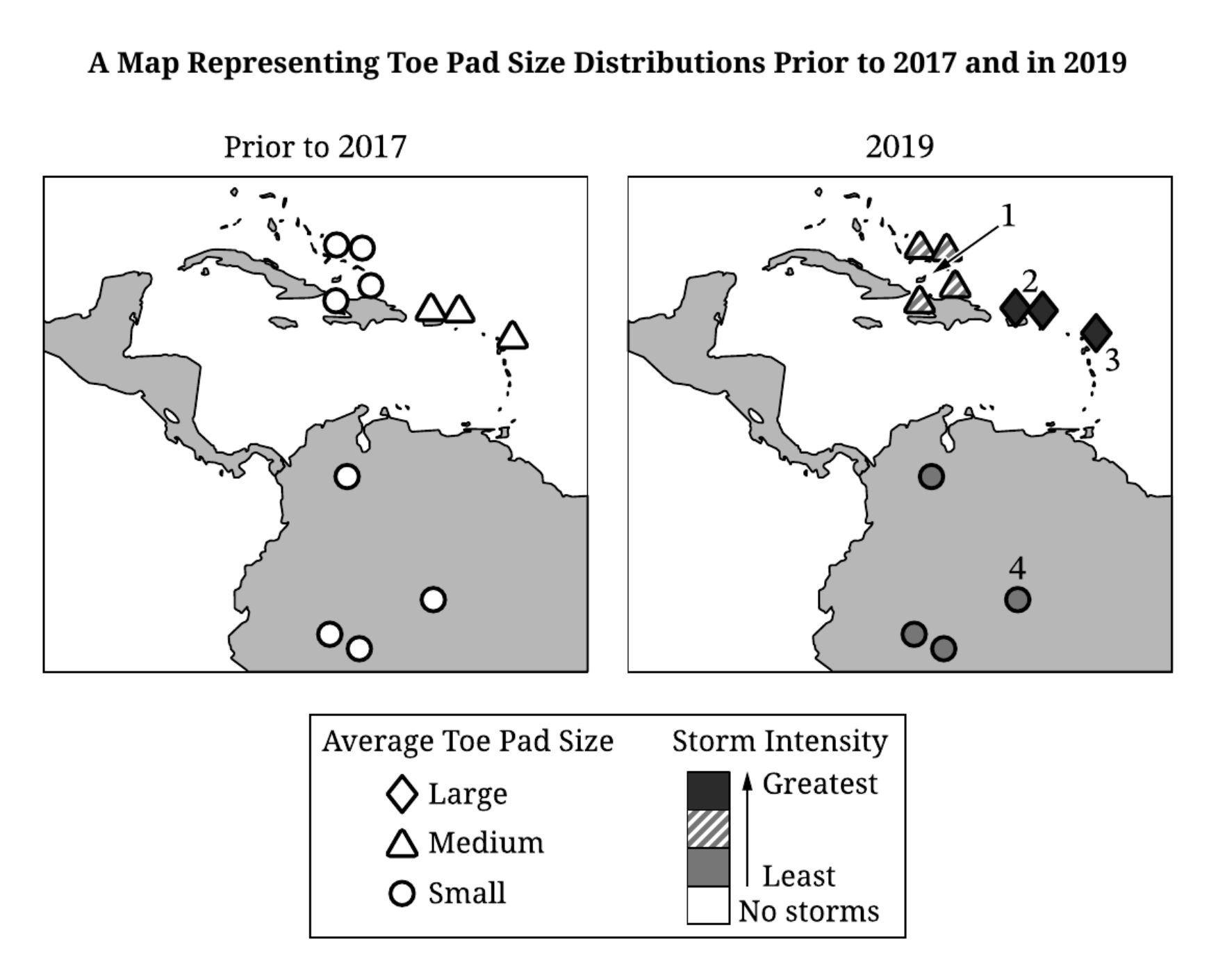 FRQ 5 Caribbean map comparing lizard toe-pad size distributions before 2017 and in 2019, with symbol shape showing average toe-pad size and symbol fill showing storm intensity in numbered regions