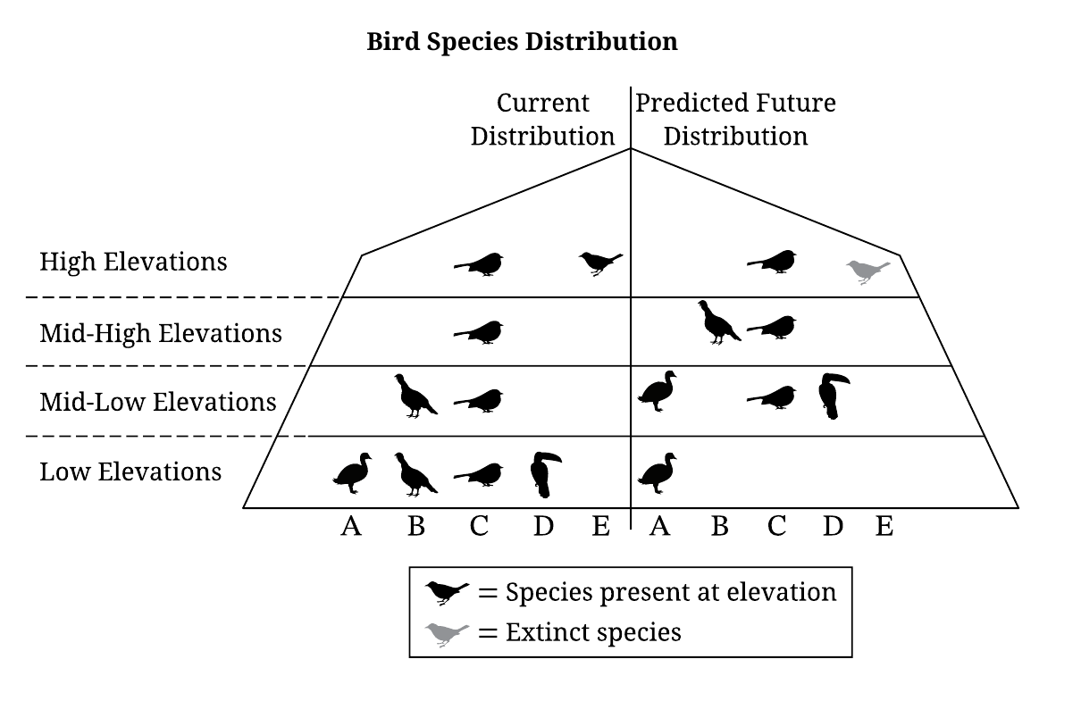 2026 AP Environmental Science FRQ 1 diagram comparing current and predicted future distributions of bird species A through E across high, mid-high, mid-low, and low elevation zones