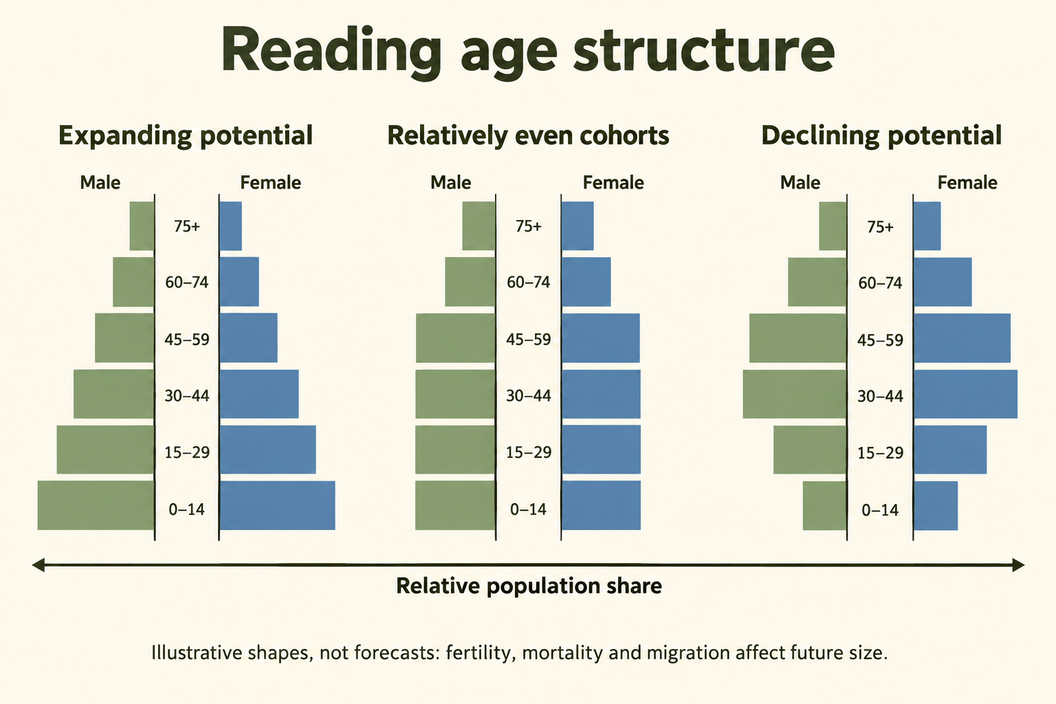 Three schematic age structures show expanding potential, relatively even cohorts and declining potential, with ages increasing upward and male and female bars.