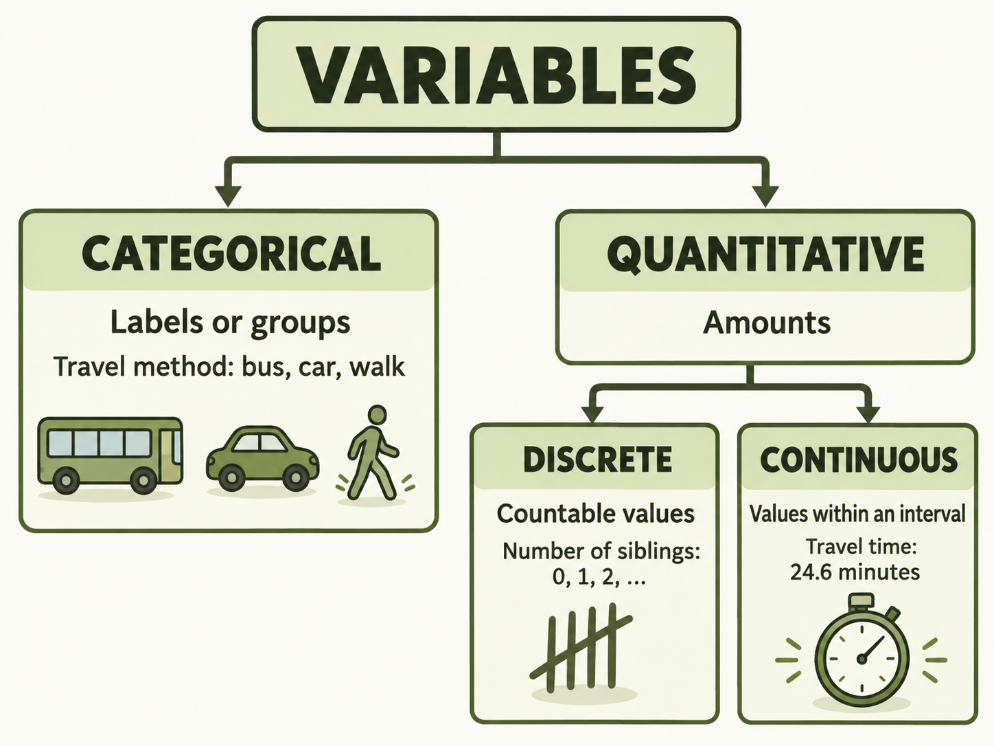 Variables divide into categorical labels or groups and quantitative amounts. Quantitative variables divide into discrete countable values, such as number of siblings, and continuous measurements, such as travel time.